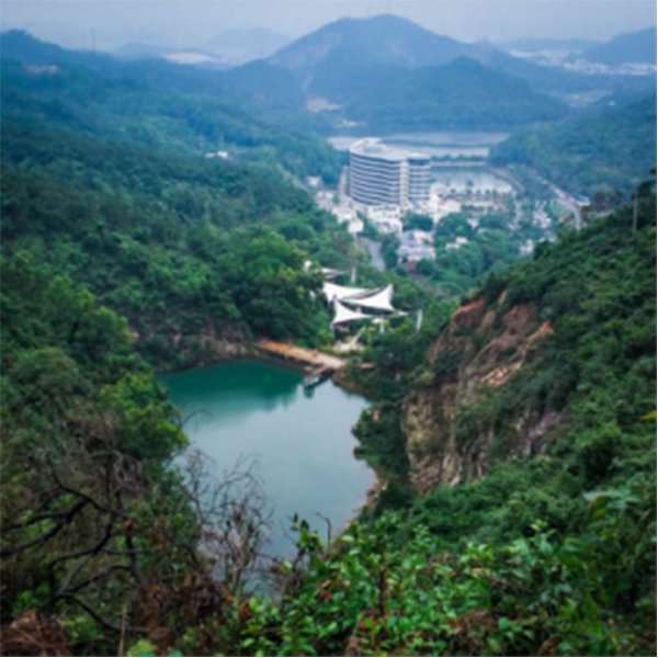 Senbetter-News | Enjoy endless fun at Guifeng National Forest Park-3